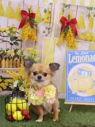 20240421れおくん